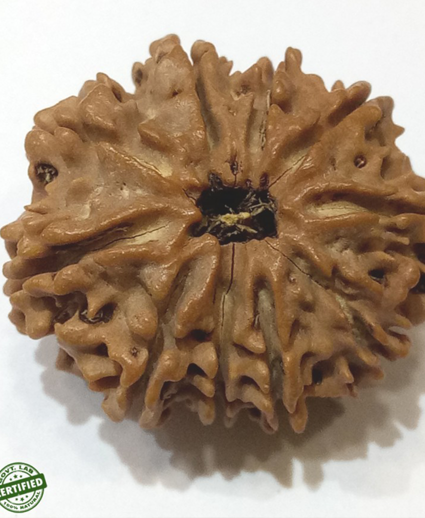 10 MUKHI1