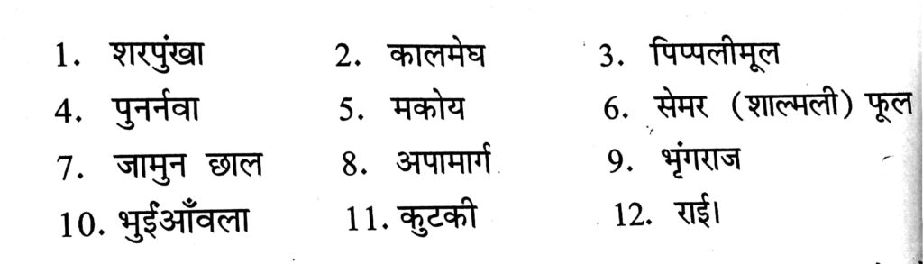 vedic havan samagri