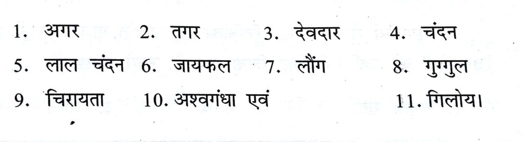 Vedic Yagya Chikitsa