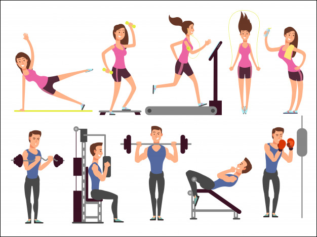 muscle gain workout